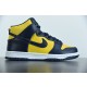 Nk SB Dunk High Pro Michigan CZ8149-700