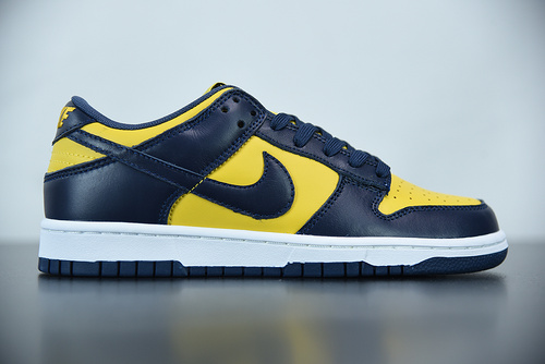 Nike SB Dunk Low Coast DD1391-700