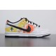 Nike SB Dunk Low BQ6832-101
