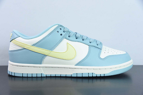 Nike Dunk Low Retro PRM DD1503-123
