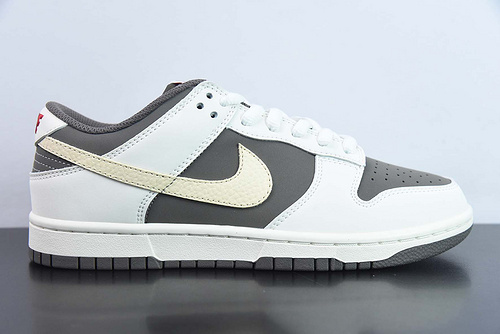 Nike SB Dunk Low TT3636-023