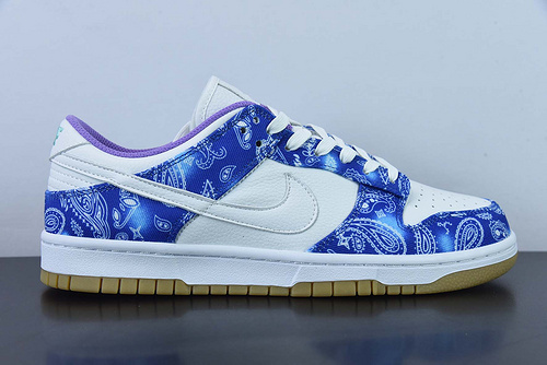 Nike SB Dunk Low Retro SP CT5053-061