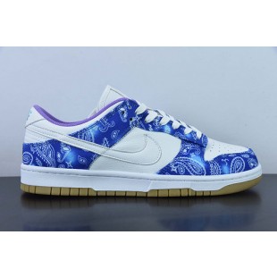 Nike SB Dunk Low Retro SP CT5053-061