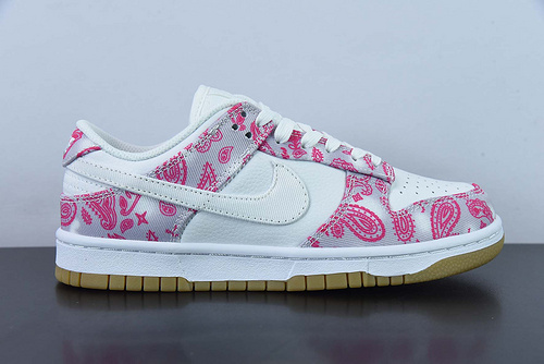 Nike SB Dunk Low Retro SP CT5053-061
