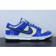 Nike Dunk Low DV2203-400