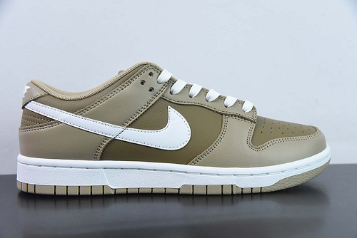 Nike Dunk Low Retro PRM DJ6188-200