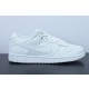 Nike Dunk SB Low DD1503-109