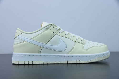 Nike Dunk SB Low DJ6188-100