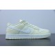 Nike Dunk SB Low DJ6188-100