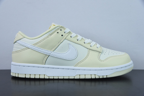 Nike SB Zoom Dunk Low DJ6188-100