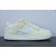 Nike SB Zoom Dunk Low DJ6188-100