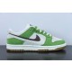 Nike SB Dunk Low DO9457-103