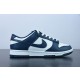 Nike Dunk SB Low Retro  Valerian Blue  DD1391-400