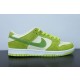 Nike SB  Dunk Low DM0807-300