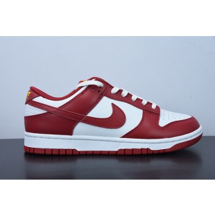 Nike Dunk SB Low  DD1391-602