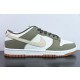 Nike SB Dunk Low TT3636-006