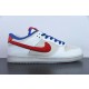 Nike SB Dunk Low RETRO FD4203-161