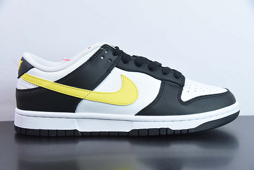 Nike SB Dunk Low FQ2431-001