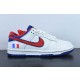 Otomo Katsuhiro x Nike SB Dunk Low Steamboy OST SB NDK 300011