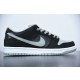 Nike SB Dunk Low J-Pack“Shadow” BQ6817-007