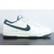Nike Dunk SB Low Athletic Department FQ8080-133