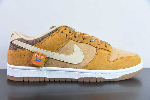 Nike SB Dunk Low DZ5350-288