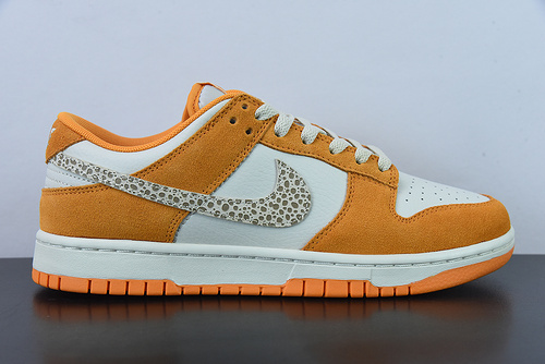 Nike SB Dunk Low DR0158-800