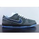 Concepts x Nike SB Dunk Low White Lobster 313170