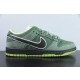 Concepts x Nike SB Dunk Low White Lobster BV1310