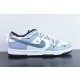 Nike Dunk Low DD1503-101