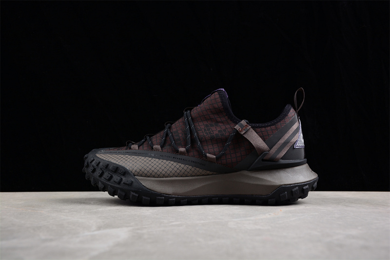 ACG 마운틴 플라이 로우 GTX SE DC9045-200