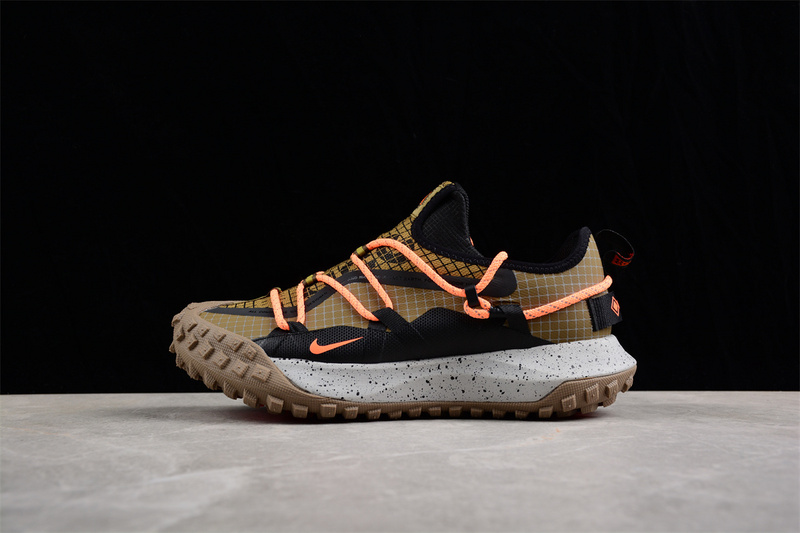 ACG 마운틴 플라이 로우 GTX SE DO2861-200