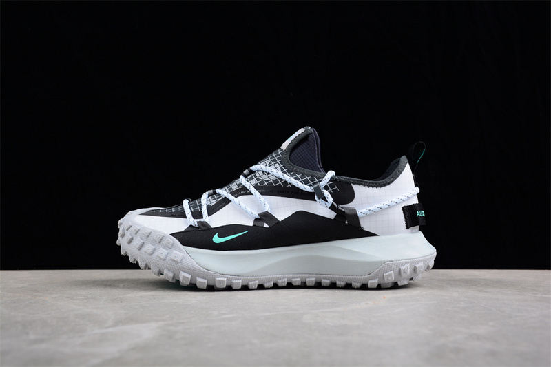 ACG 마운틴 플라이 로우 GTX SE DO9334-100