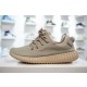 아디다스 이지 부스트 350 옥스포드 탄 Adidas Yeezy Boost 350 Oxford Tan AQ2661
